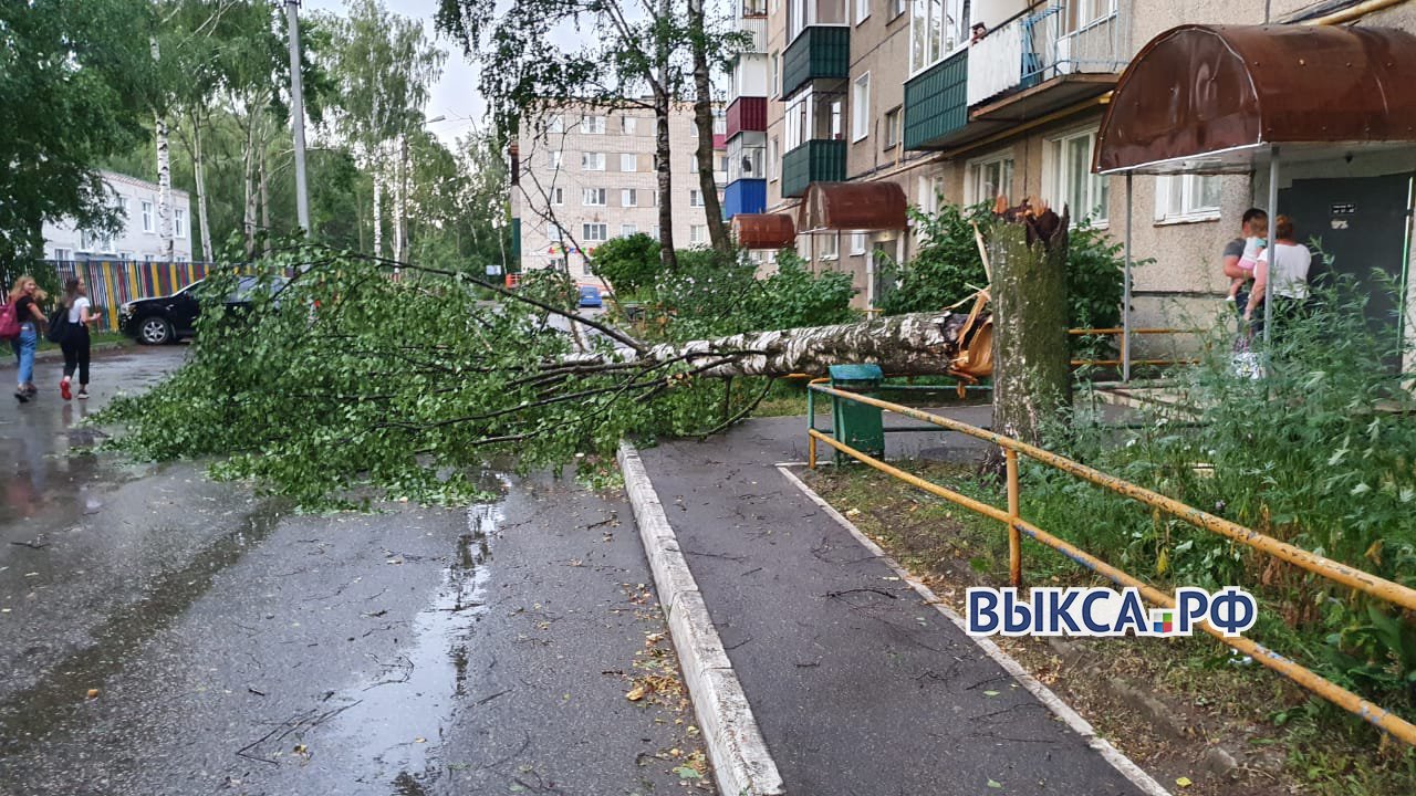 Последствия урагана в Выксе